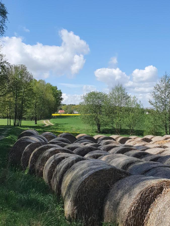Apartamento Anni'S Waldblick Burgstadt Exterior foto